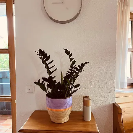 Achentalglueck Apartment